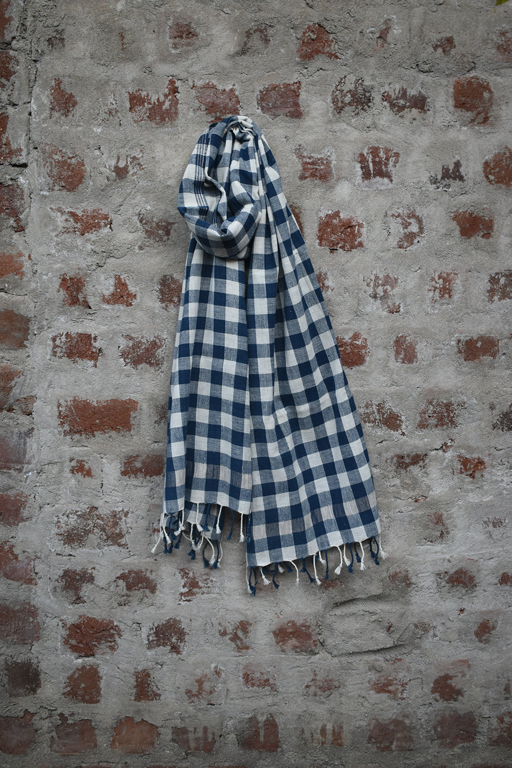Blue and White Gingham
